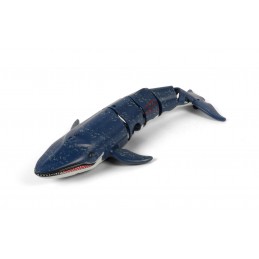 RC BIG WHALE